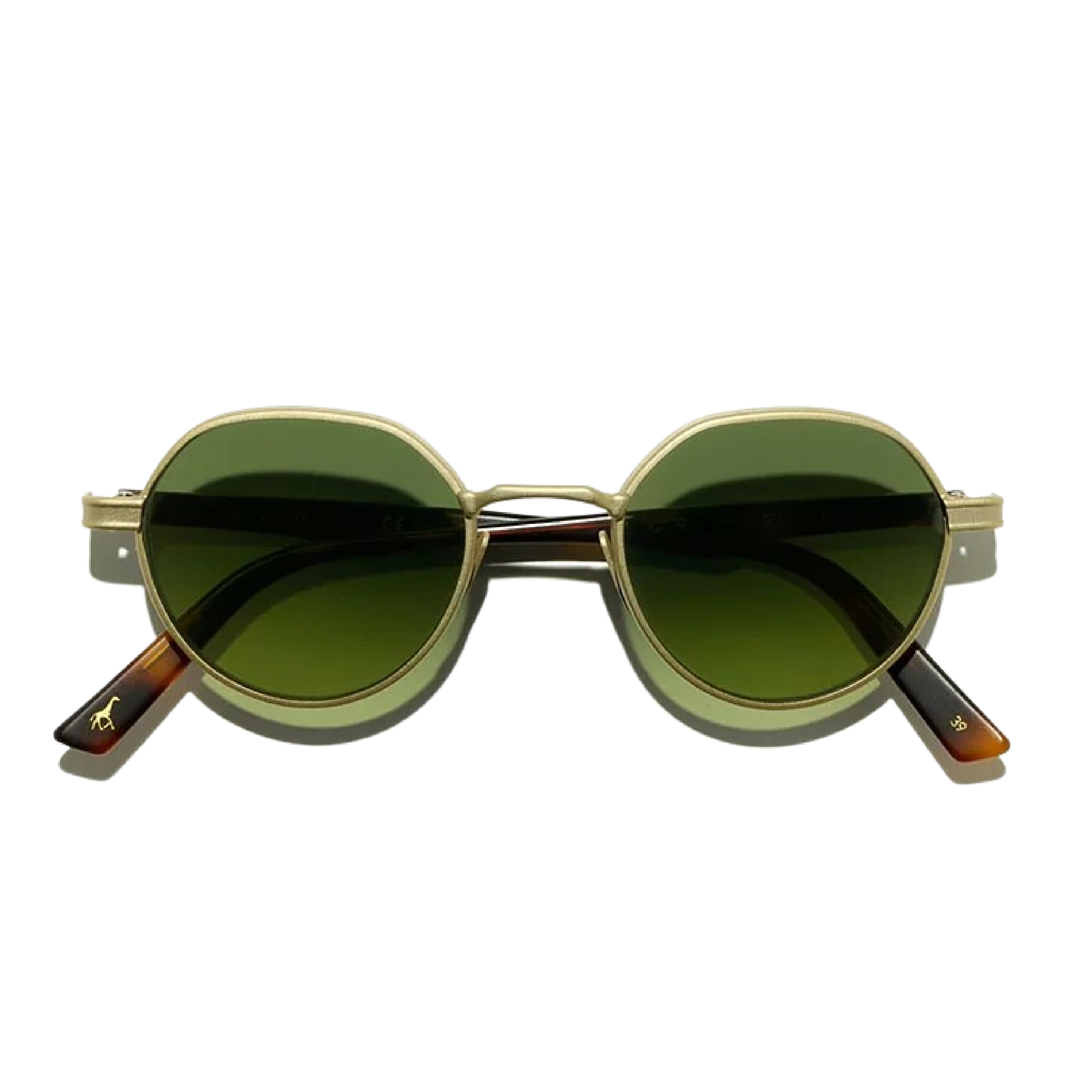 L.G.R | MEKNES | LIONS OF ETHIOPIA