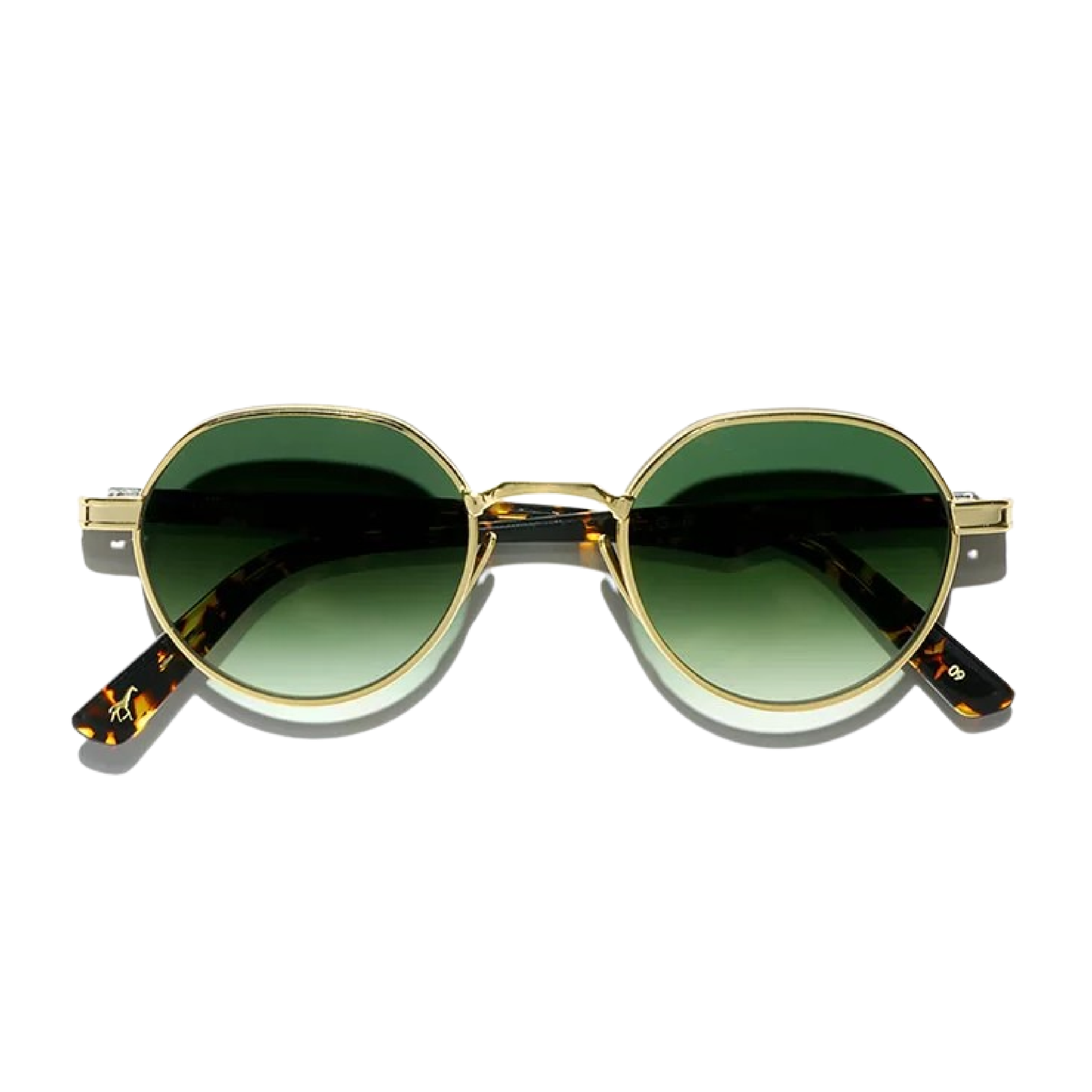 LGR | MEKNES | LIONS OF ETHIOPIA