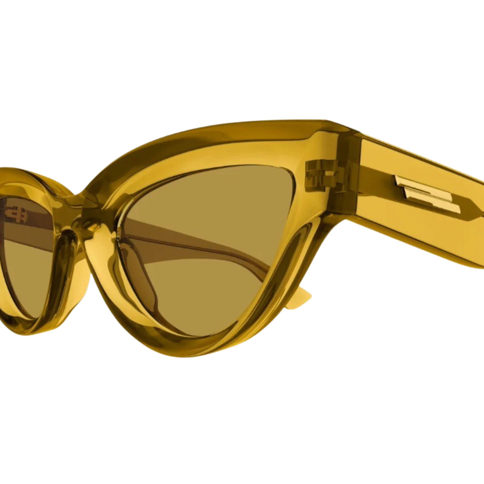 Bottega Veneta | BV1249S