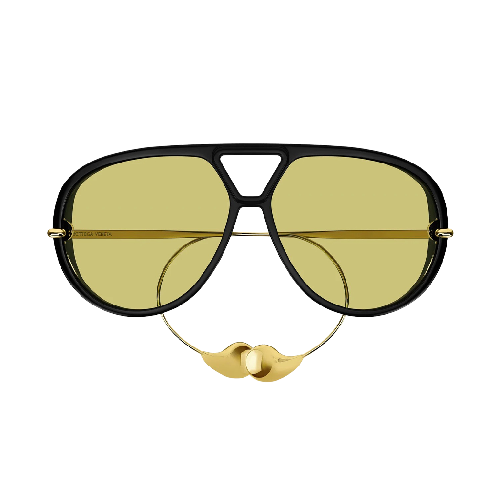 BOTTEGA VENETA | BV1273S