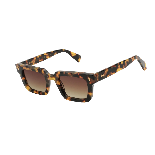 Gast | (NOT) COMMON HAVANA