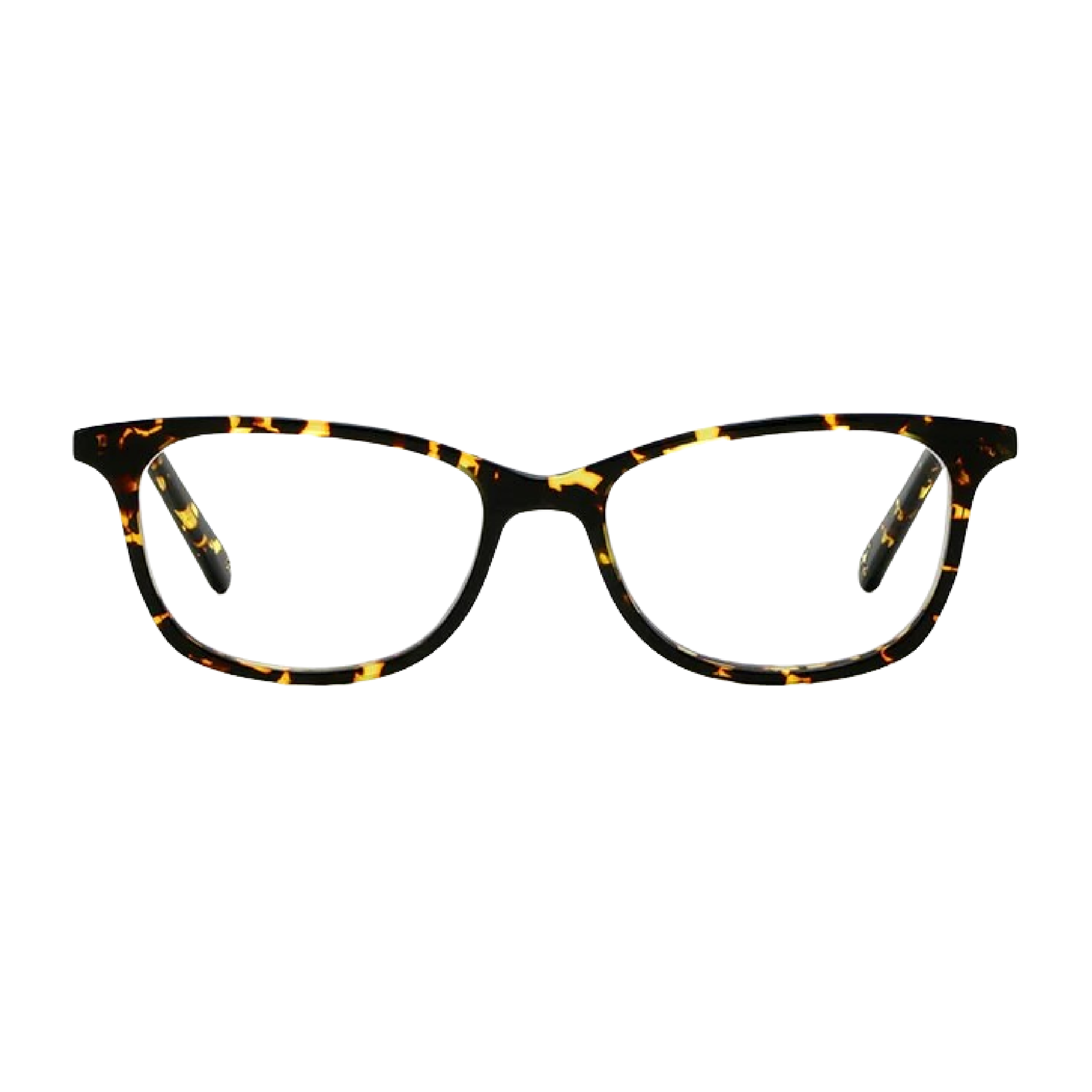 LGR | GIZA HAVANA SCURO