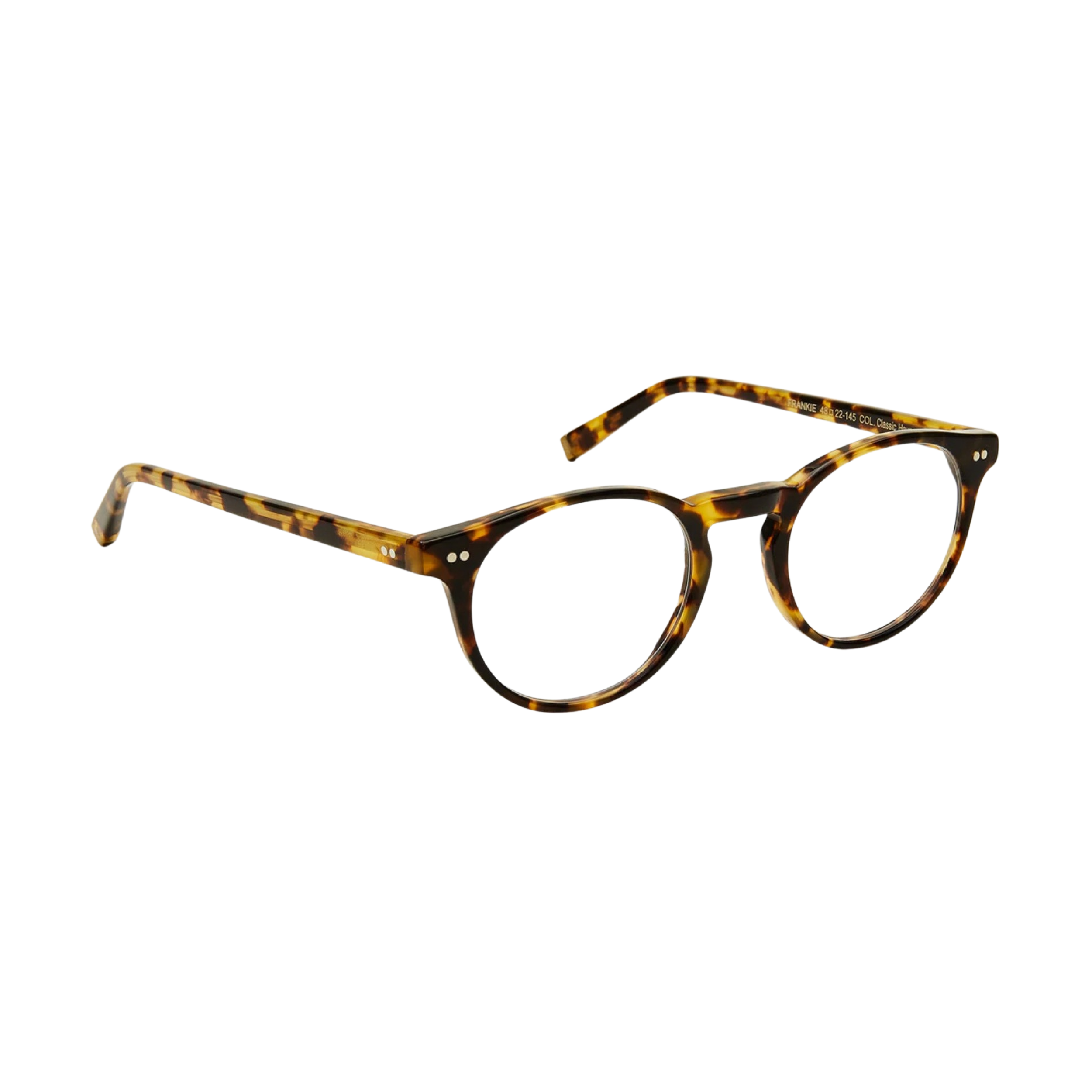 MOSCOT | FRANKIE