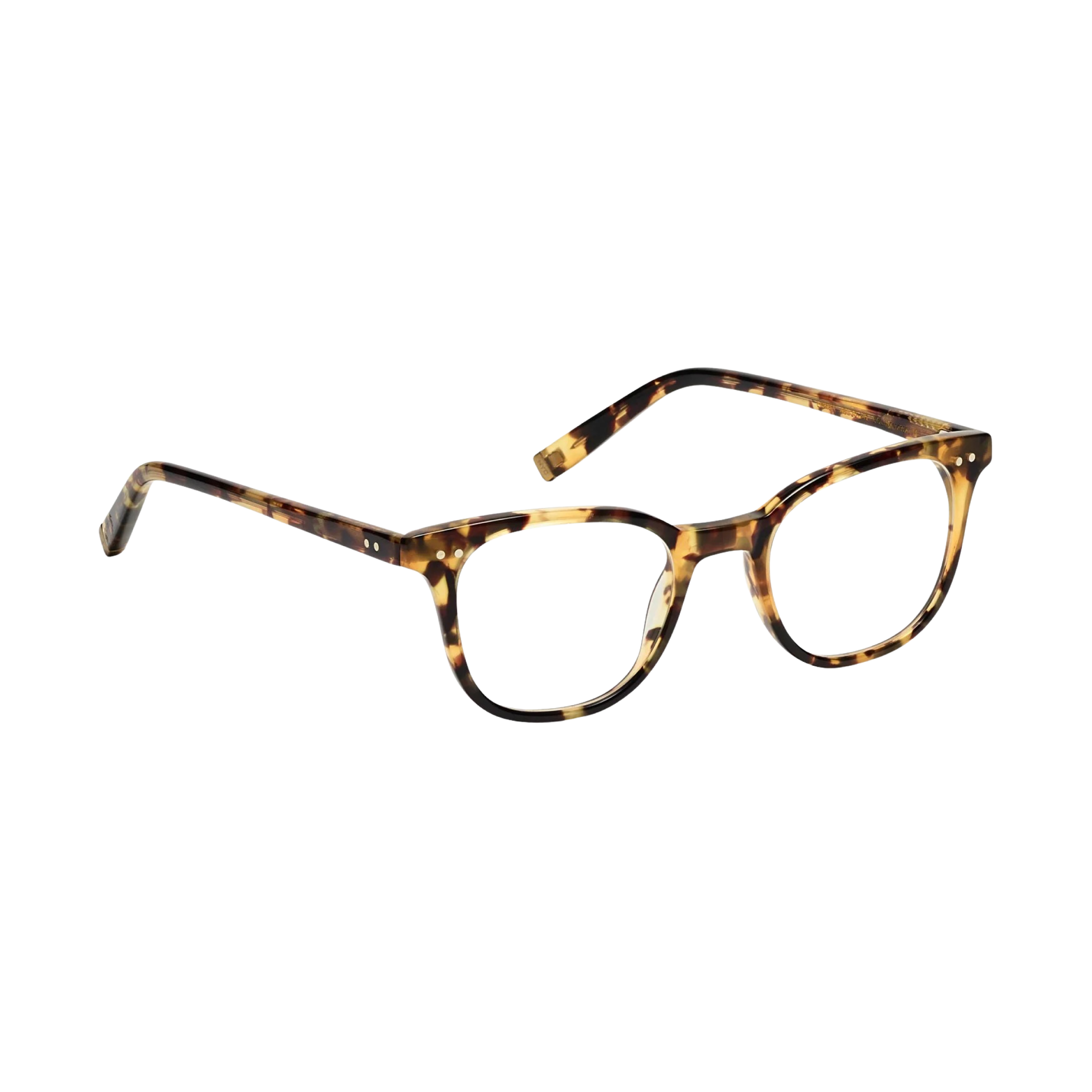 MOSCOT | LOREN