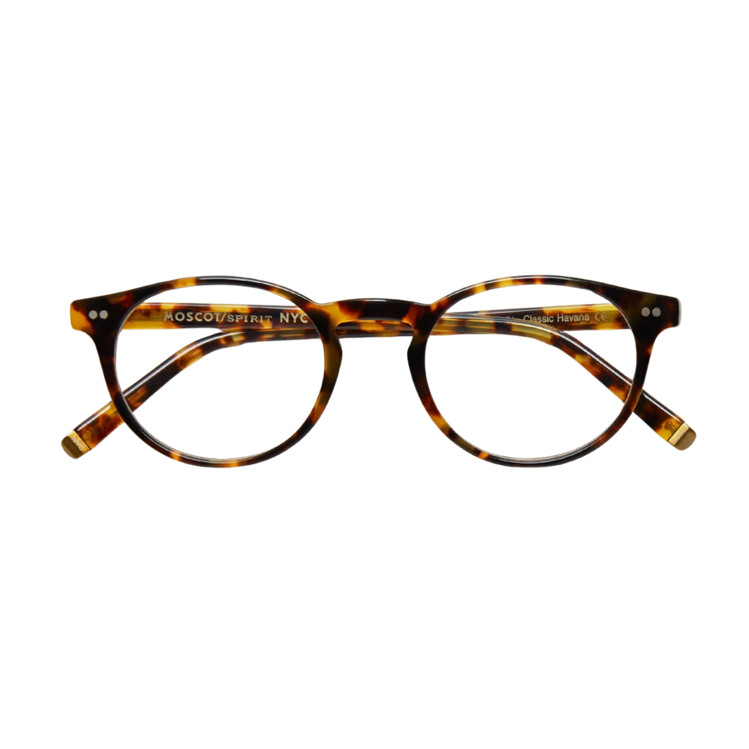 MOSCOT | FRANKIE