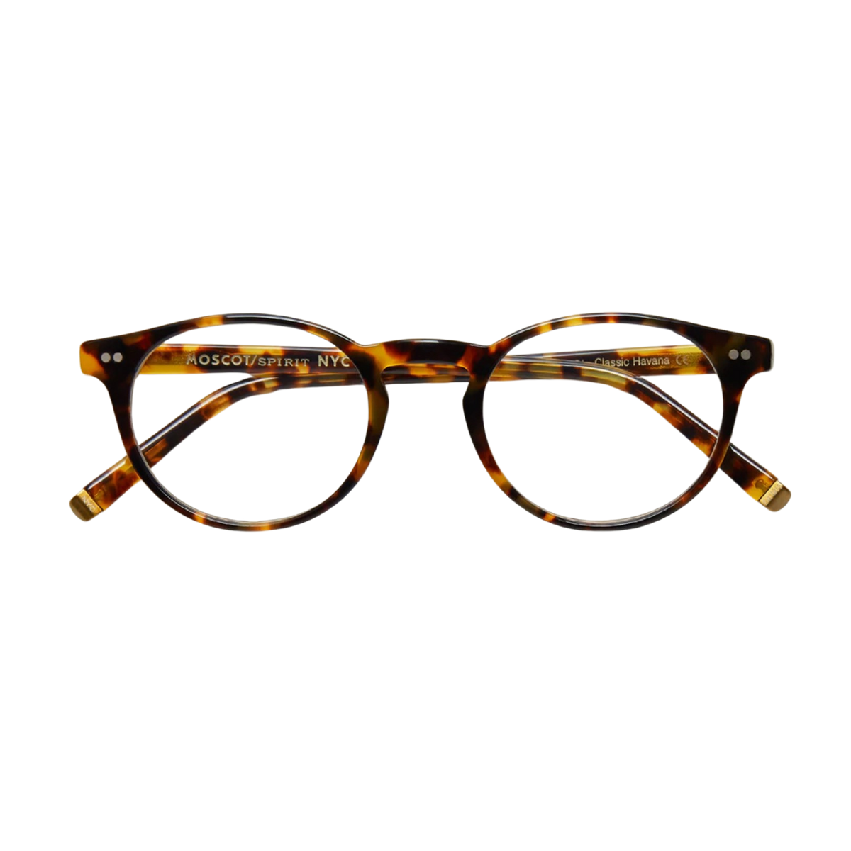 MOSCOT | FRANKIE