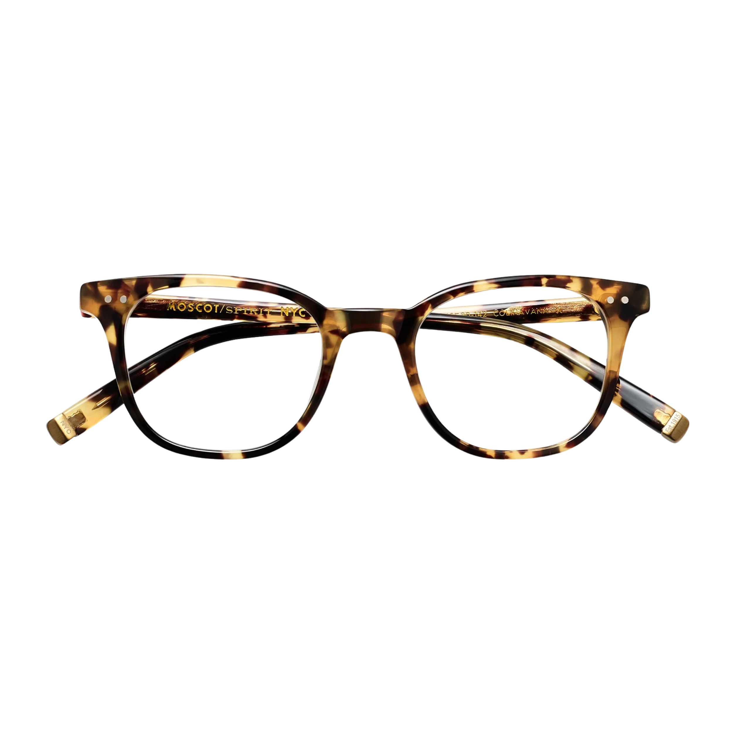 MOSCOT | LOREN