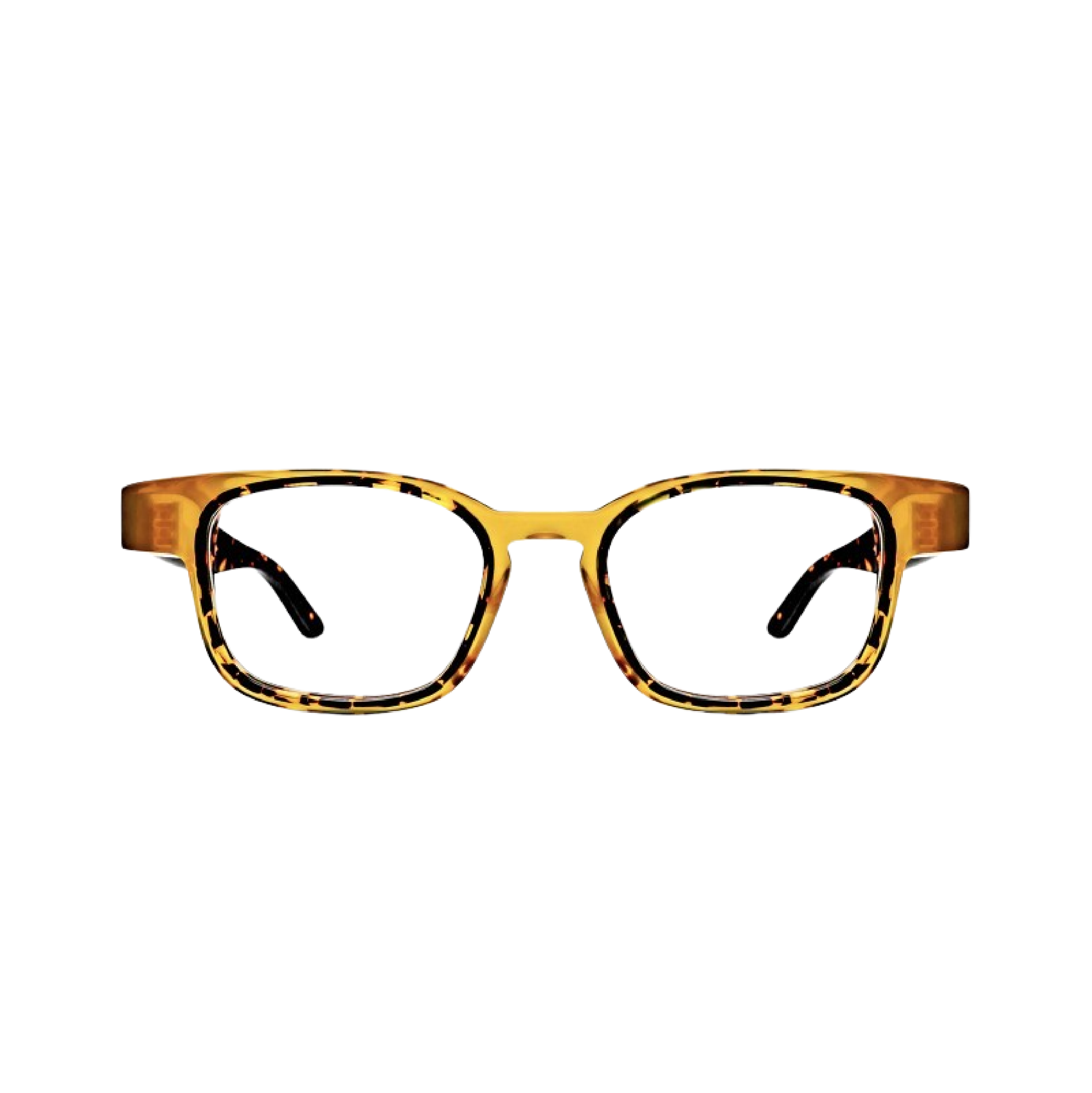 THIERRY LASRY | HORMONY