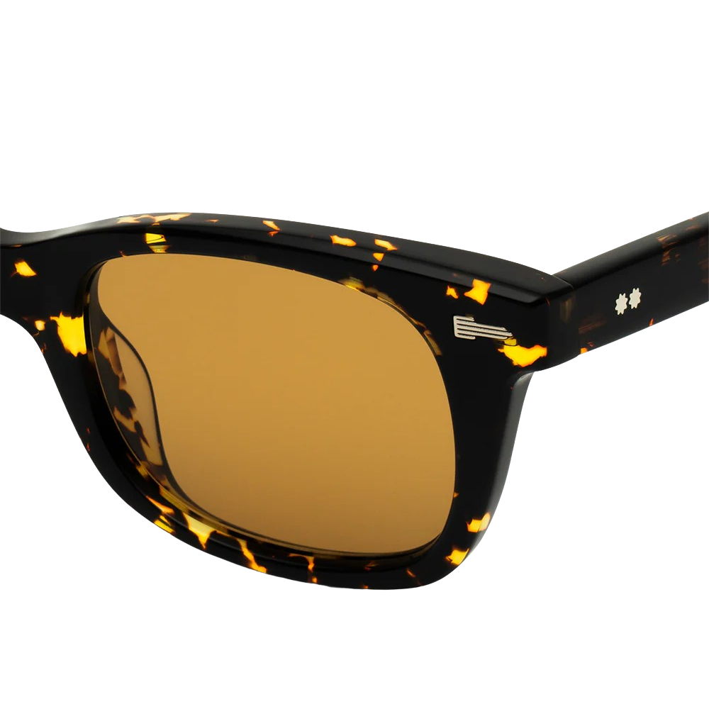 TEJESTA | TUTTLE CHELONIAN