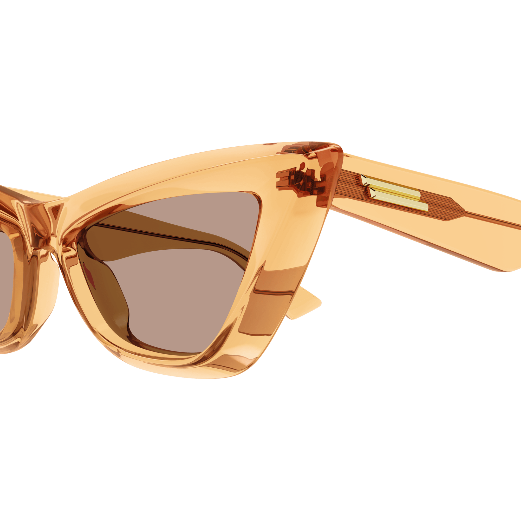 Bottega Veneta | BV1101S