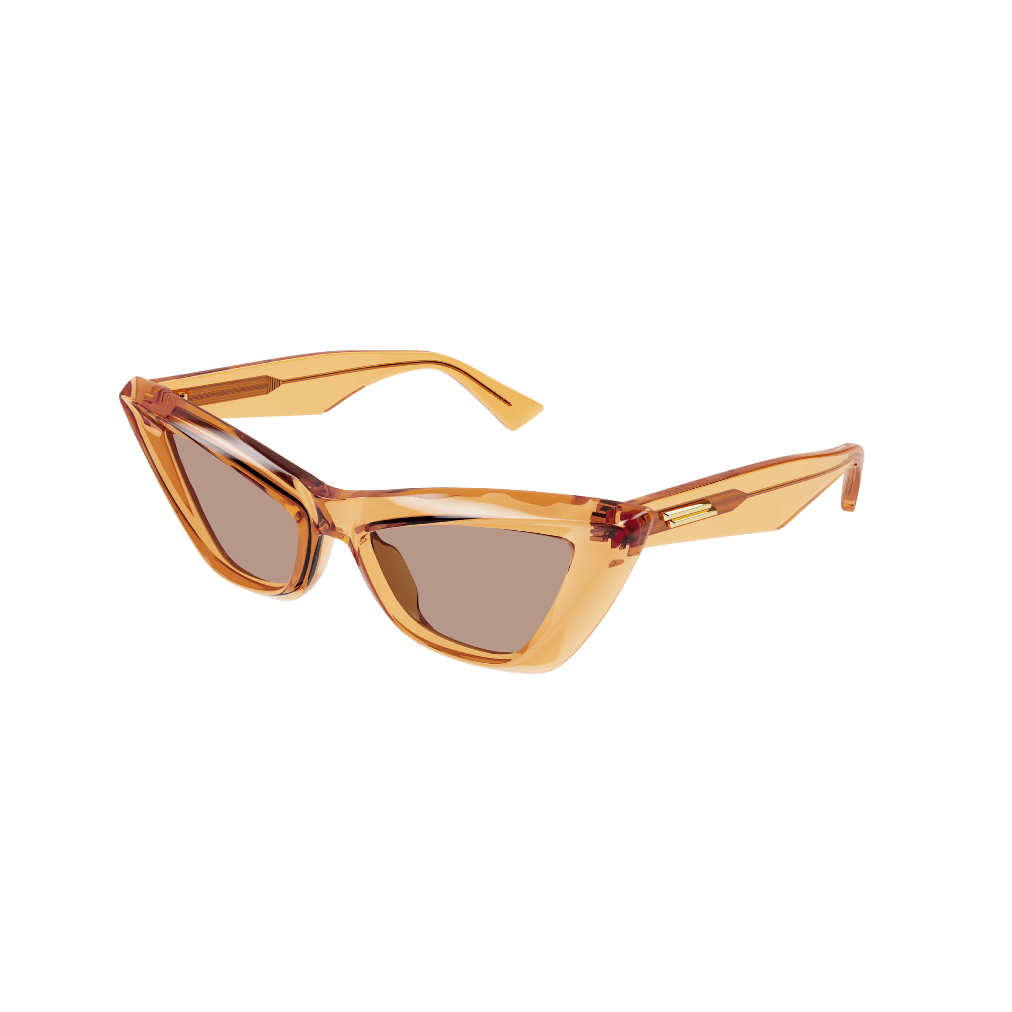 Bottega Veneta | BV1101S