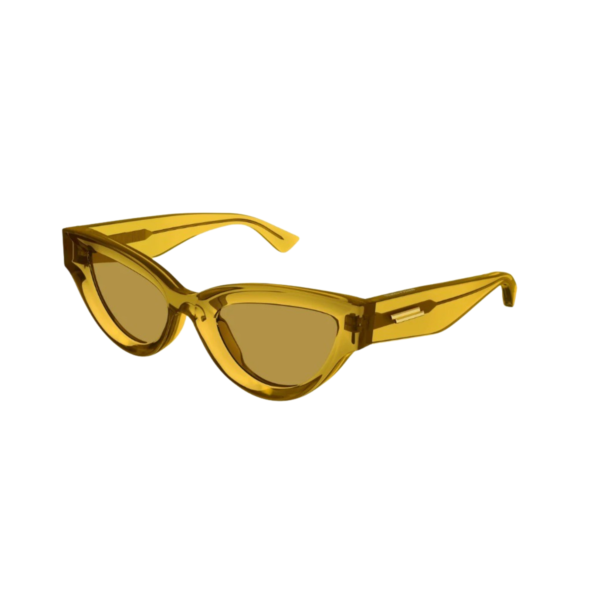 Bottega Veneta | BV1249S