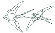 Elison Optics logo