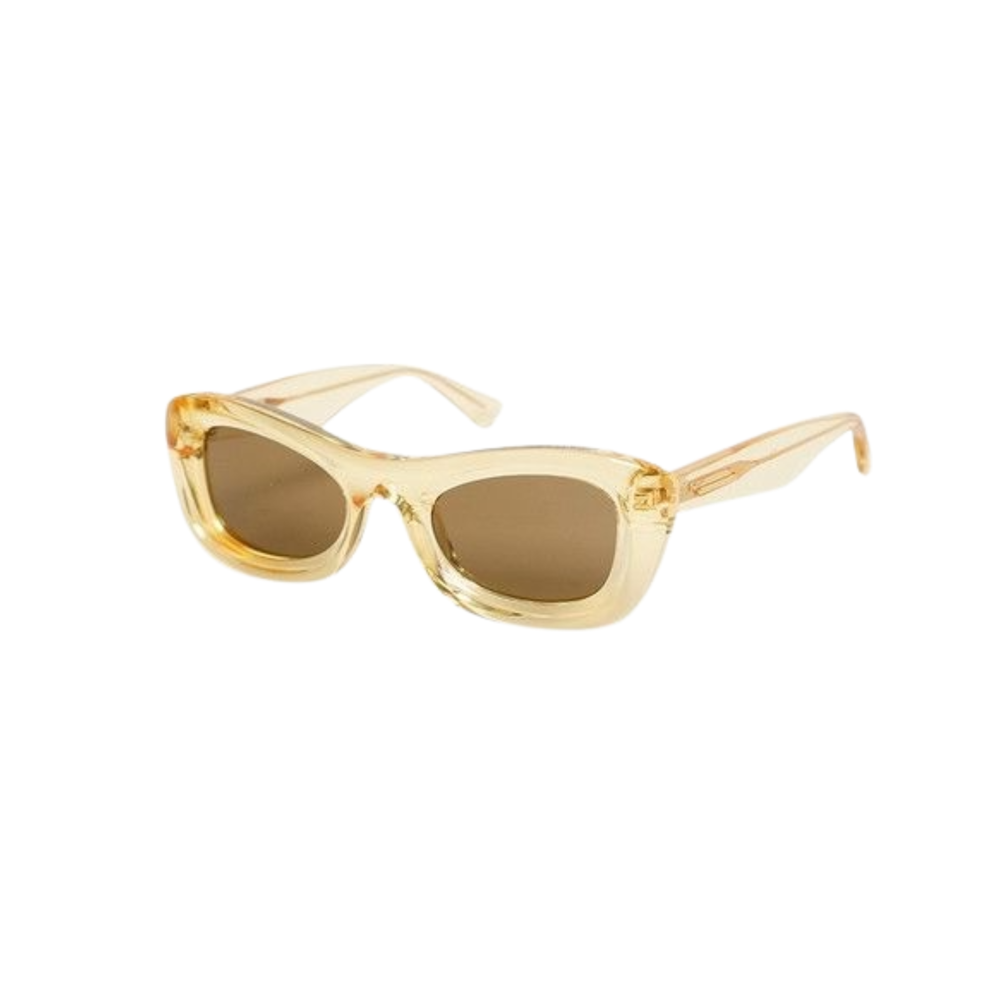 Bottega Veneta | BV1088S