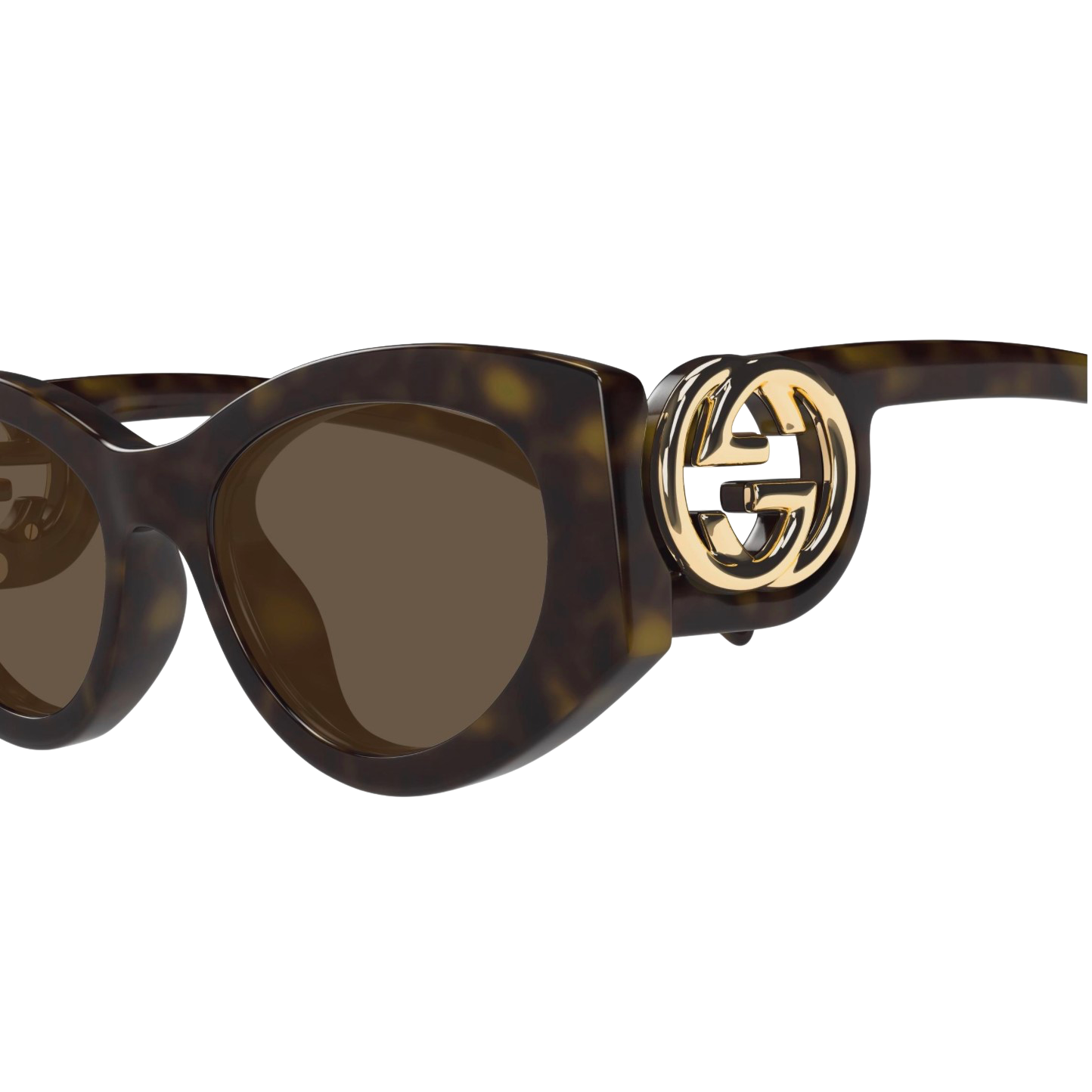 Gucci  | GG1691S
